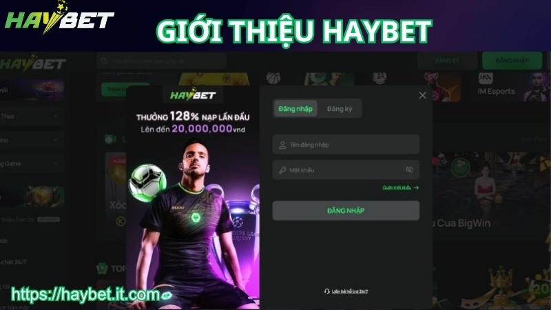 Giới thiệu HAYBET về nguồn gốc và pháp lý