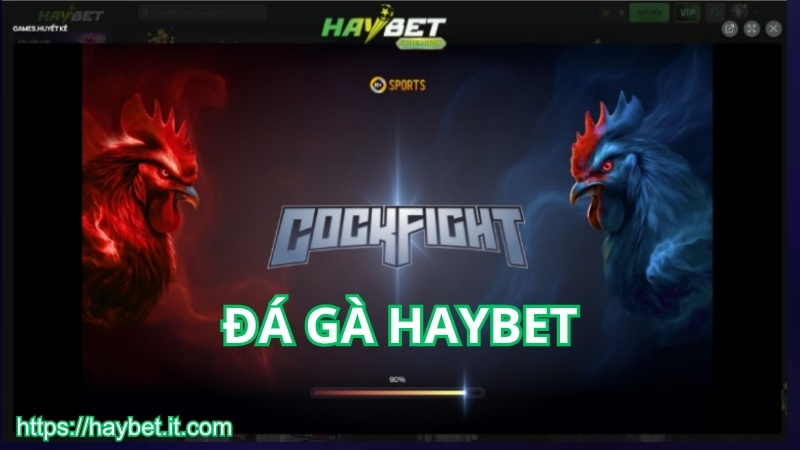 Giới thiệu sức hút của sảnh đá gà HAYBET