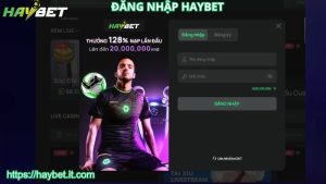 Hướng dẫn đăng nhập HAYBET chi tiết