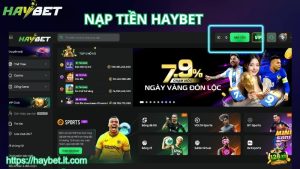 Hướng dẫn nạp tiền HAYBET cho cược thủ mới