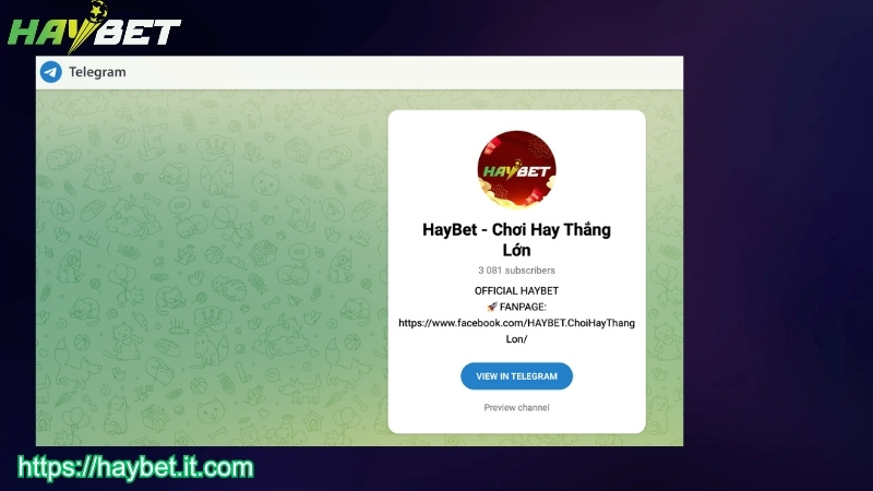 Liên hệ HAYBET qua telegram