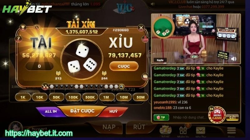 Quy tắc chơi tài xỉu HAYBET cho người mới