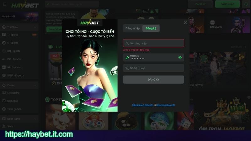 Quy trình tham gia cá cược tại HAYBET