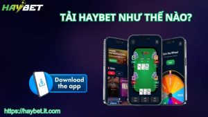 Vì sao nên tải HAYBET về thiết bị?